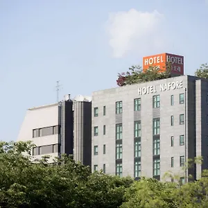 纳法尔酒店 首爾